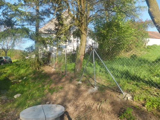DSCF3880.JPG