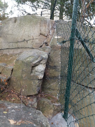 DSCF4478.JPG