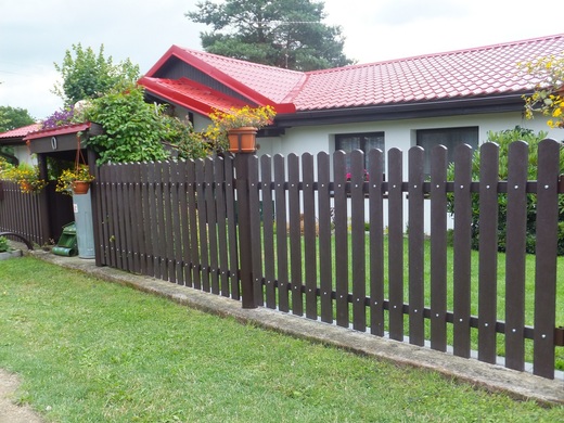 DSCF5573.JPG