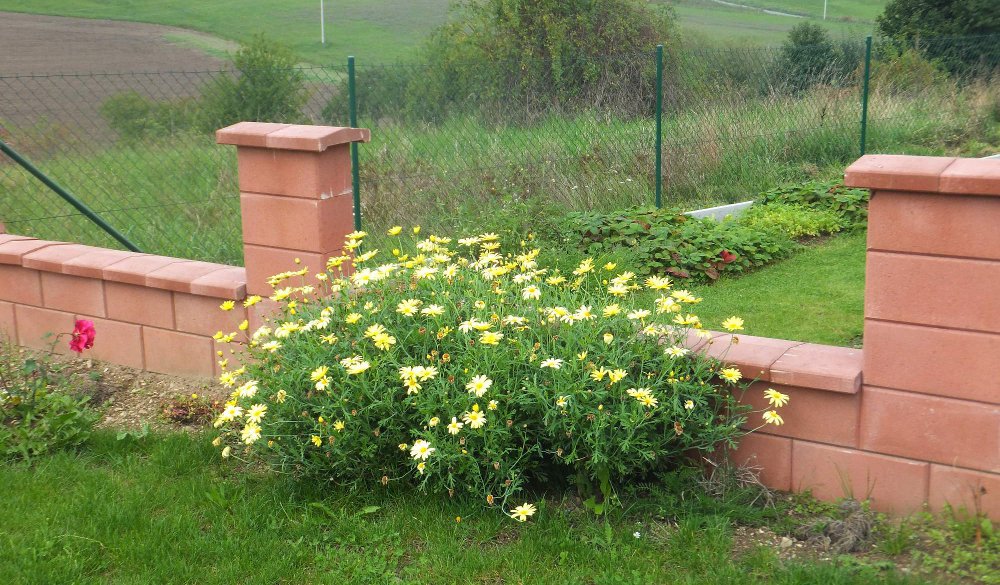 plot5